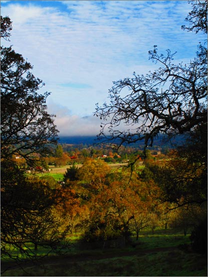 sm 091217.04  Skyline.jpg - View of Napa Valley looking North.